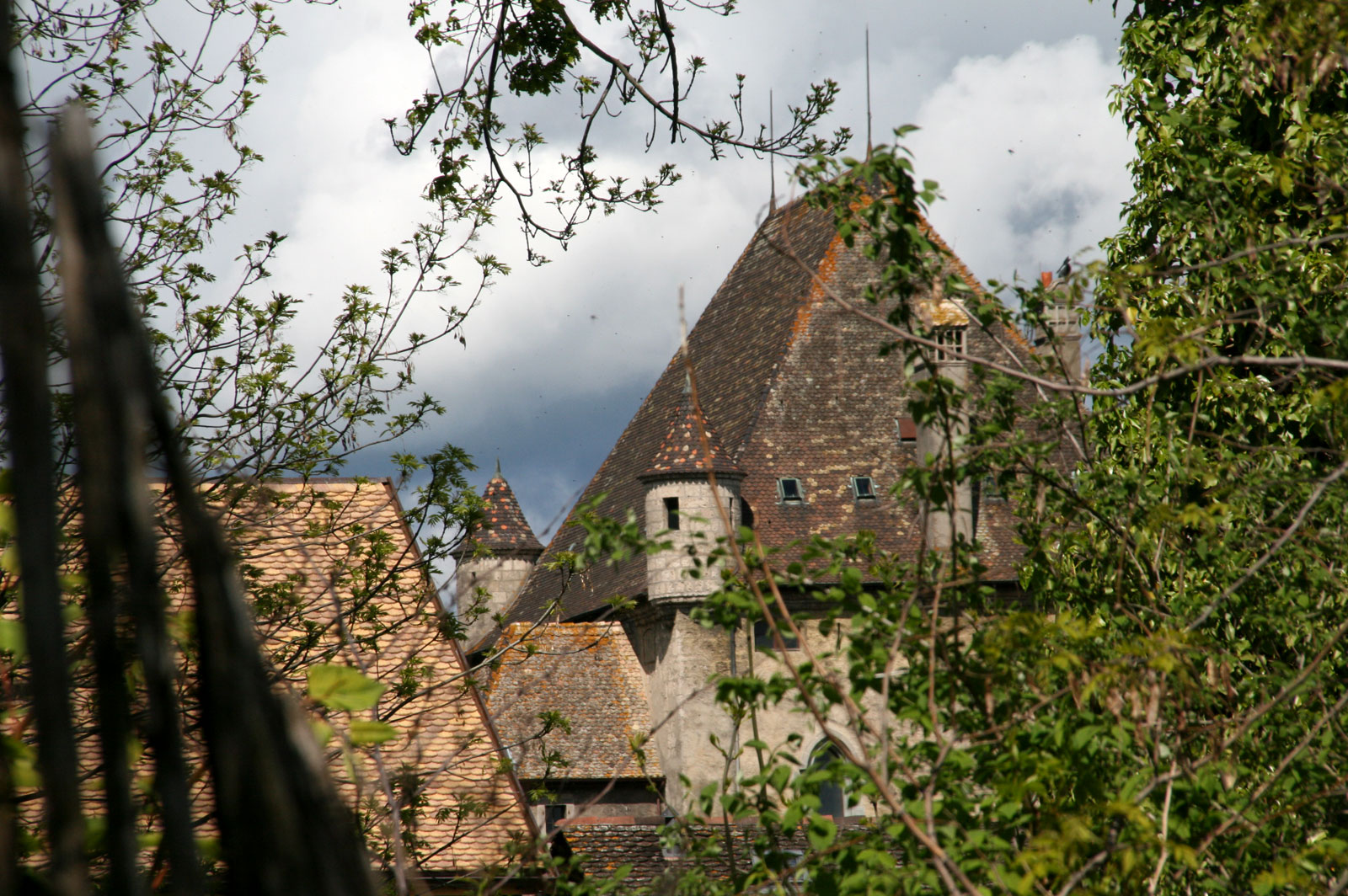 The roof of Yvoire castle when going to Rovorée.